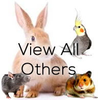 View All Critters