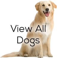 View All Dogs